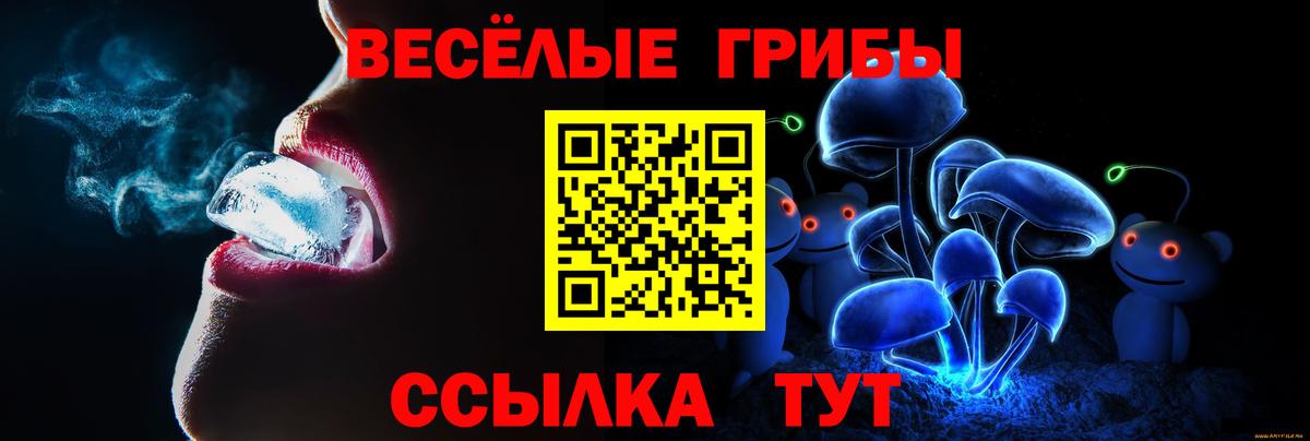 Псилоцибиновые грибы прущие грибы  Псилоцибиновые грибы GOLDEN TEACHER  закладки  Вход с VPN  Горячий Ключ 